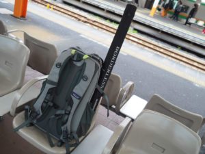 パタゴニアのスウィートパックベスト