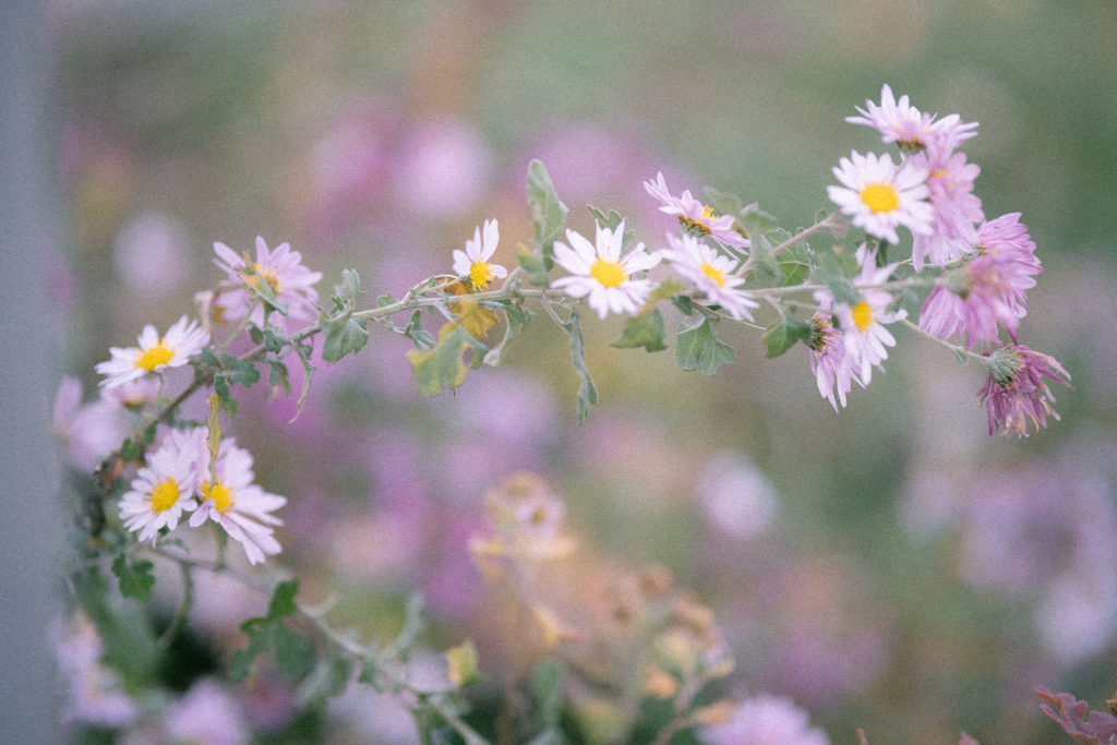 音声入力をブログに活かす