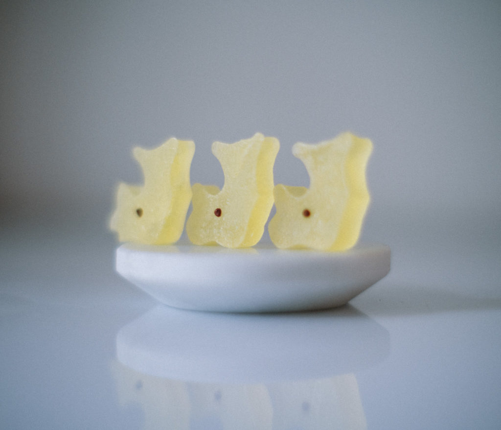 松露堂の琥珀糖金シャチ